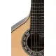 APC GUITARRA PORTUGUESA Coimbra 310CB