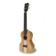 APC UKULELE CONCERTO CS