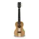 APC UKULELE CONCERTO CS