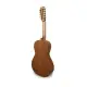 APC VIOLA BRAGUESA 250