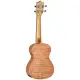 Tanglewood UKULELE Concerto Tiare TWT6
