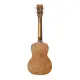 Cordoba UKULELE Concerto UP100