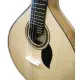 Artimusica GUITARRA PORTUGUESA Coimbra Meio Luxo GP71C