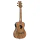 Ortega UKULELE ELETRIFICADO CONCERTO LIZARD CC GB