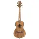 Ortega UKULELE ELETRIFICADO CONCERTO LIZARD CC GB