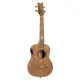 Ortega UKULELE ELETRIFICADO TENOR LIZARD TE GB
