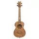 Ortega UKULELE ELETRIFICADO TENOR LIZARD TE GB