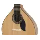 Artimusica GUITARRA PORTUGUESA Coimbra Simples GP70C