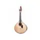 Artimusica GUITARRA PORTUGUESA Coimbra GPBaseC