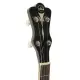 Gewa BANJO Premium Series 4 Cordas