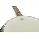 Gewa BANJO Premium Series 4 Cordas