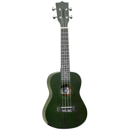 Tanglewood UKULELE CONCERTO Tiare TWT3 Forest Green