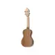 APC CAVAQUINHO Dois Corações