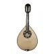 Artimusica BANDOLIM LUXO BD42TC