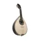Artimusica BANDOLIM LUXO BD42TC
