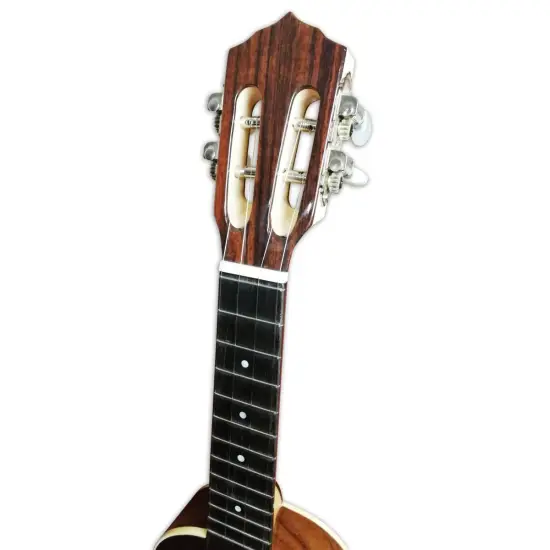 Artimusica CAVAQUINHO  Luxo Meio Tampo Boca Redonda CV17C