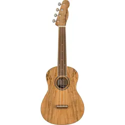 Fender UKULELE CONCERTO Zuma Exotic Spalted Maple