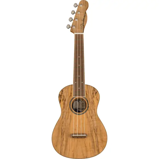Fender UKULELE CONCERTO Zuma Exotic Spalted Maple