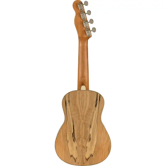Fender UKULELE CONCERTO Zuma Exotic Spalted Maple