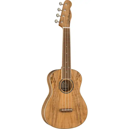 Fender UKULELE CONCERTO Zuma Exotic Spalted Maple