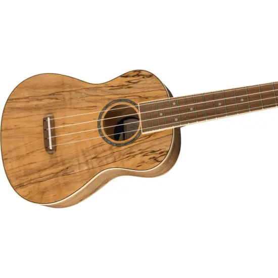 Fender UKULELE CONCERTO Zuma Exotic Spalted Maple