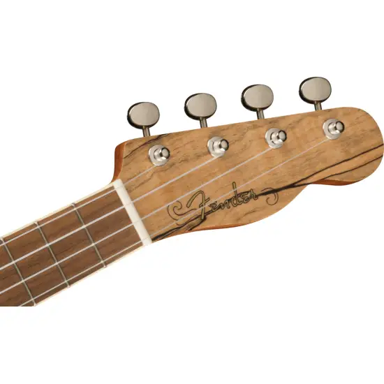 Fender UKULELE CONCERTO Zuma Exotic Spalted Maple