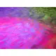 Eurolite PROJETOR EFEITOS LED WF 30 Water Effect