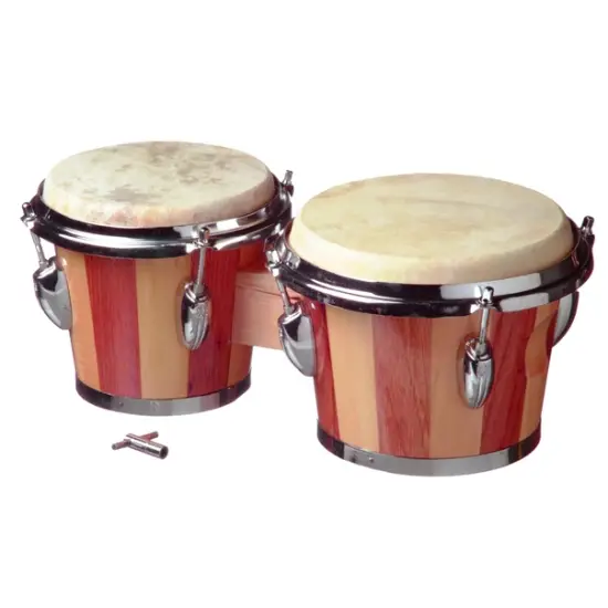 BONGOS 6,5