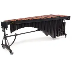 Banda & Orquestra