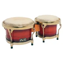 Club Salsa Bongos Bongos Sun Burst