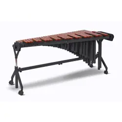 Banda & Orquestra