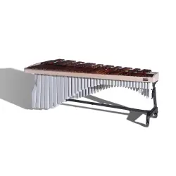 Banda & Orquestra