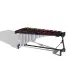 Adams MCHA43 Concert 4.3 Oit. Pau Rosa Apex Frame