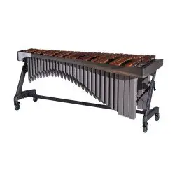 Banda & Orquestra