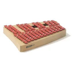 Percussões