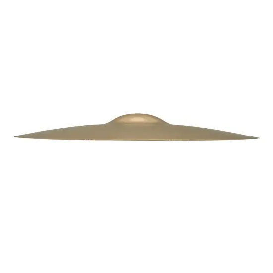 Zildjian 20