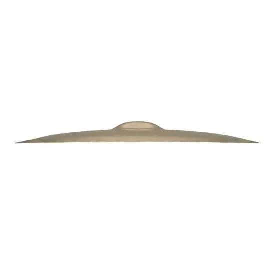 Zildjian 20