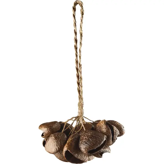Meinl Sonic energy SPGRS