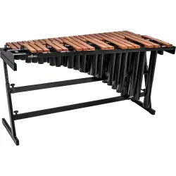Banda & Orquestra