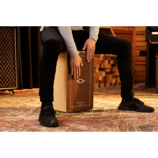 Meinl Artisan Edition Series String Cajon Buleria Line Mongoy AEBLMY