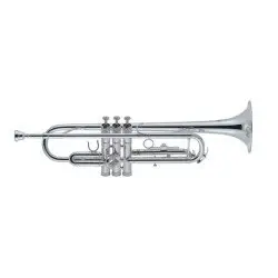J.Michael TR 300S
