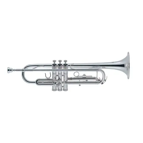 J.Michael TR 300S
