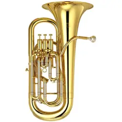 Yamaha YEP 621