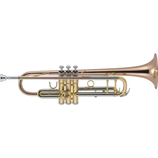J.Michael TR 450