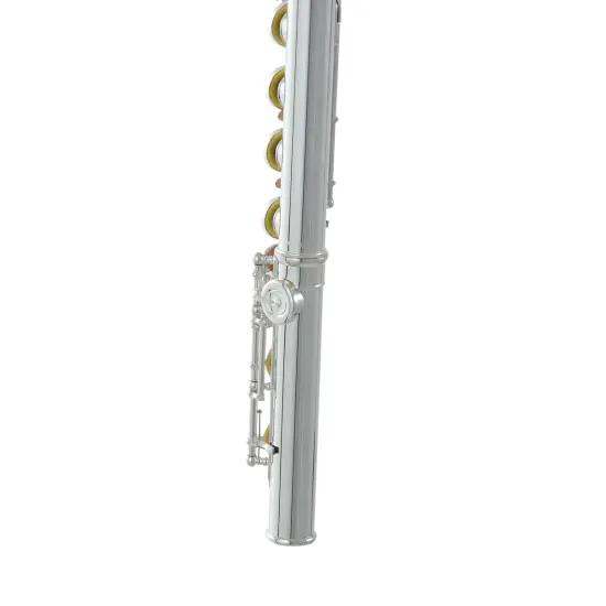 ROY BENSON FL 602E