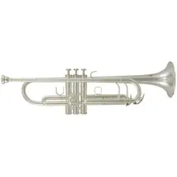 ROY BENSON TR 202S