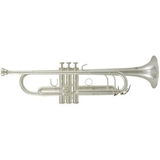 ROY BENSON TR 202S