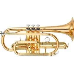Ouros Instrumentos de Sopro