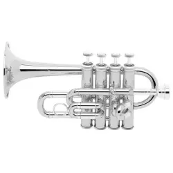 Trompetes Piccolo