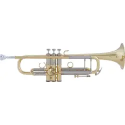 Trompetes Bb (standard)